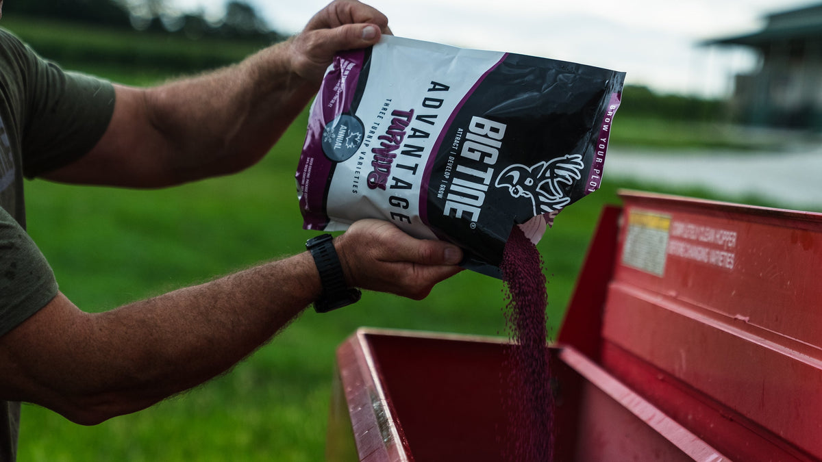 Food plots and Attractants