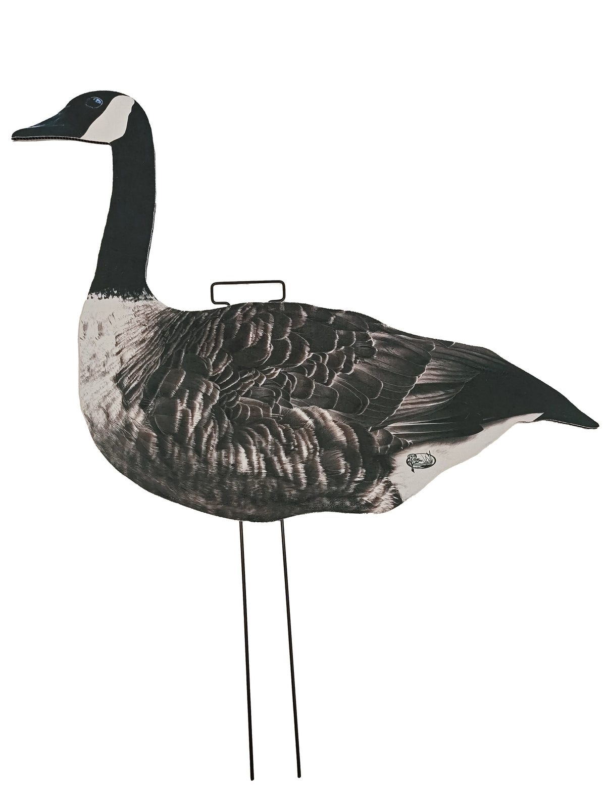 Decoys