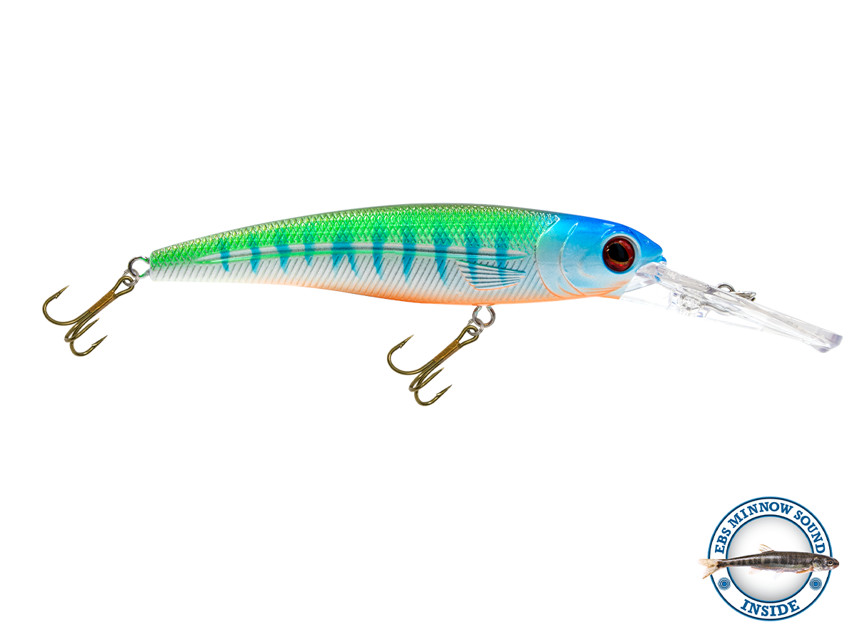 Voyager 15 Walleye