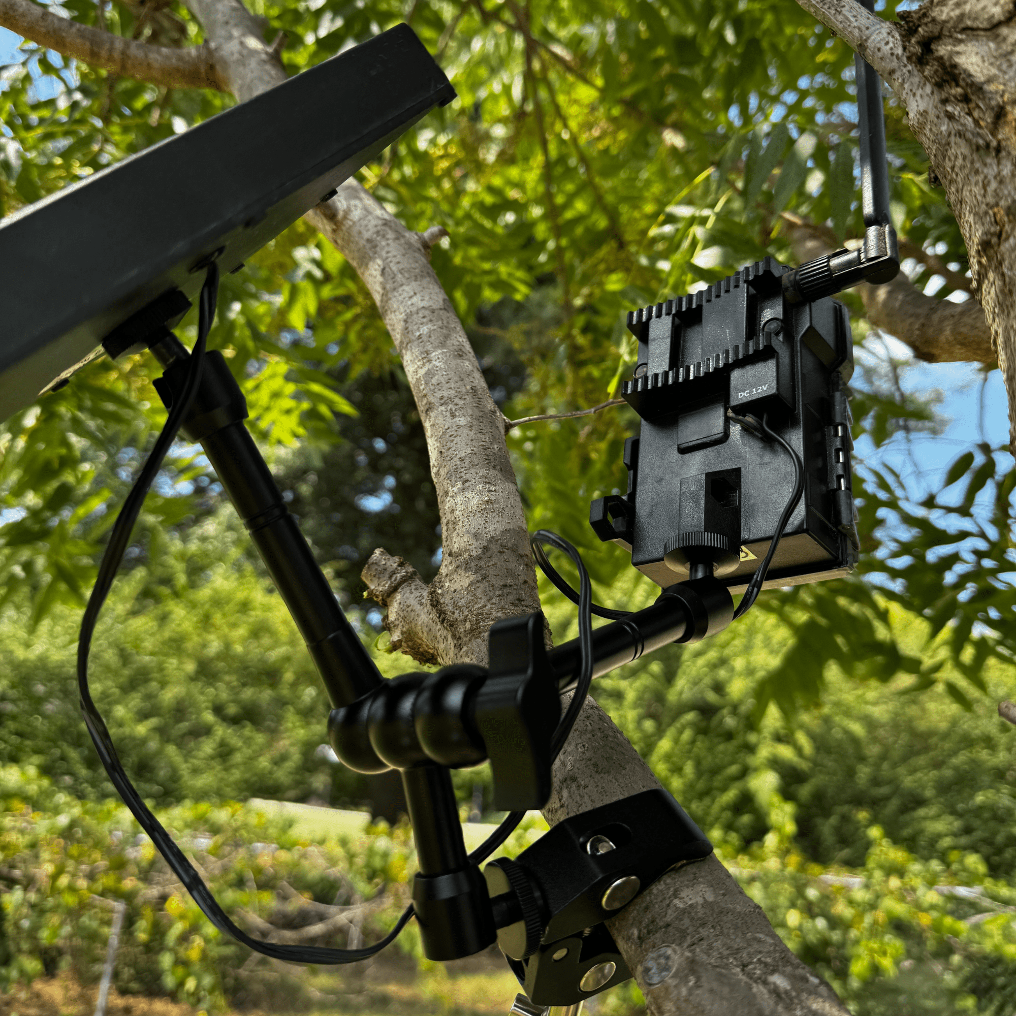 Tri-Claw Trail Camera & Solar Panel Clamp Mount
