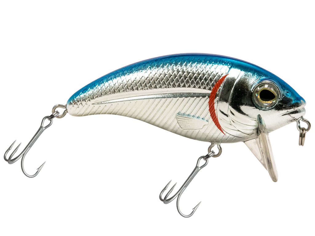 Bull Nose SW