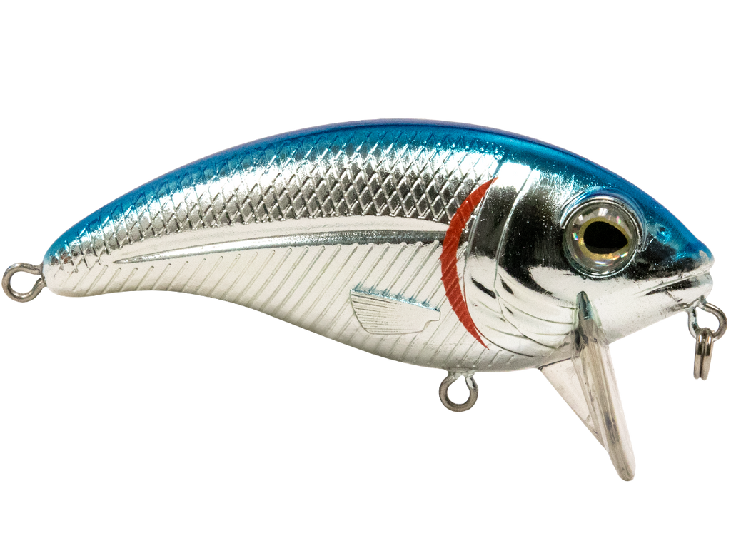 Bull Nose SW