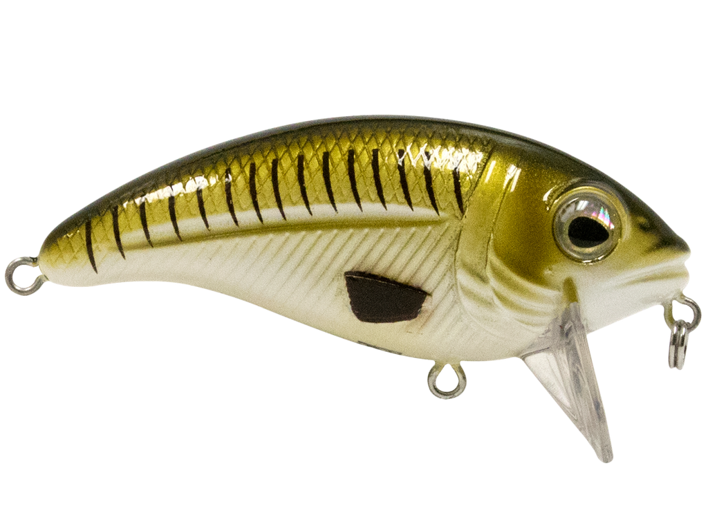 Bull Nose SW