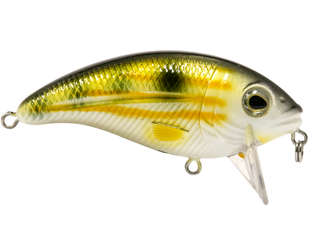 Bull Nose SW