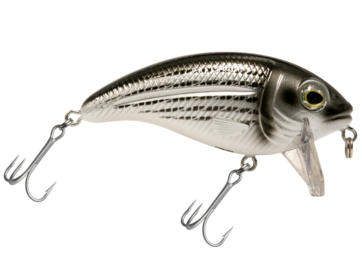Bull Nose SW
