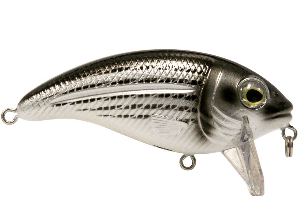 Bull Nose SW