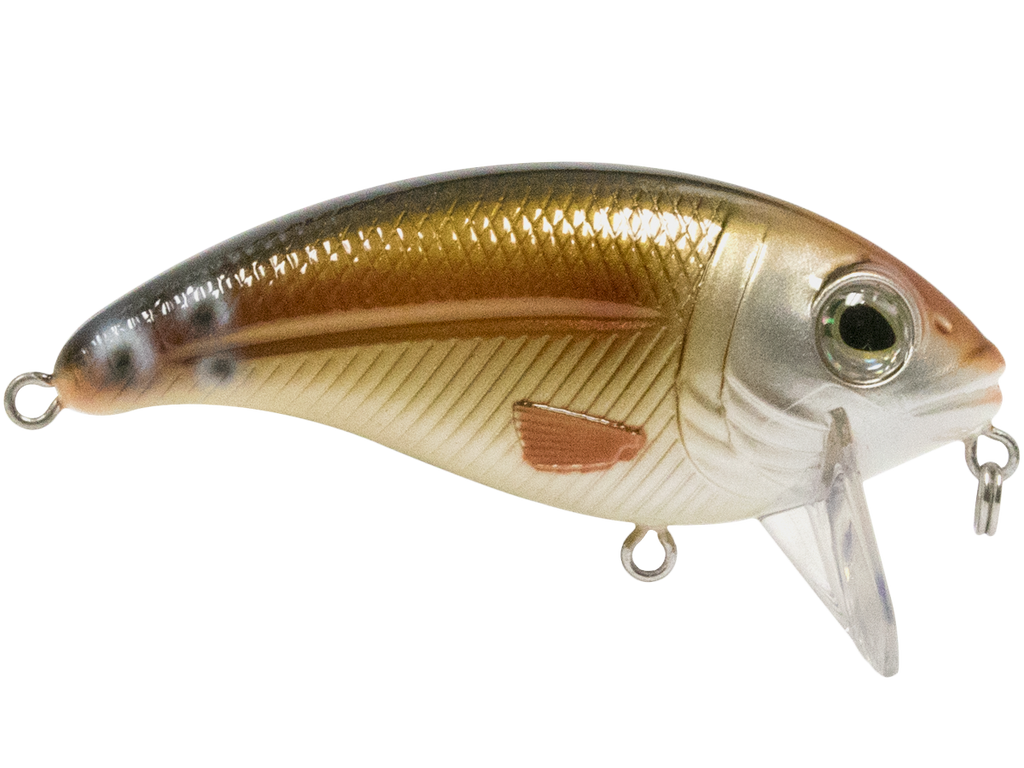 Bull Nose SW