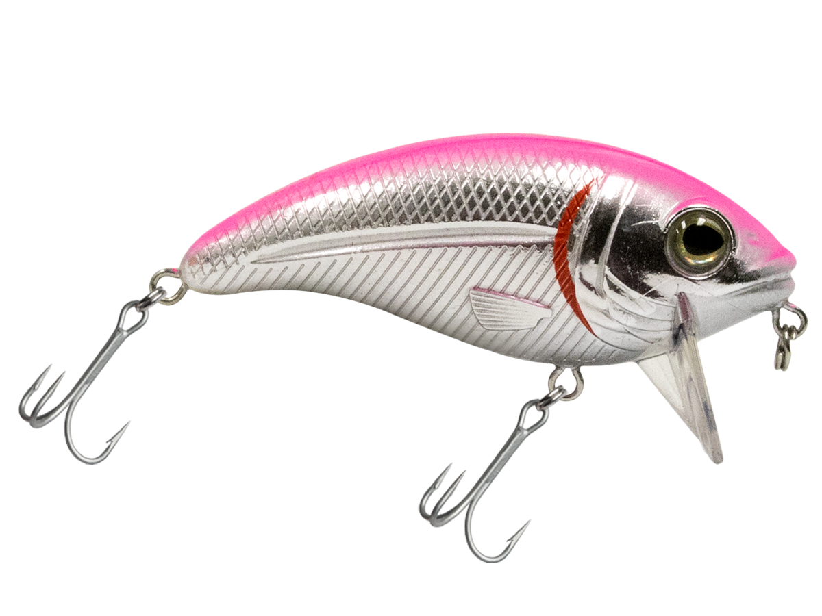 Bull Nose SW