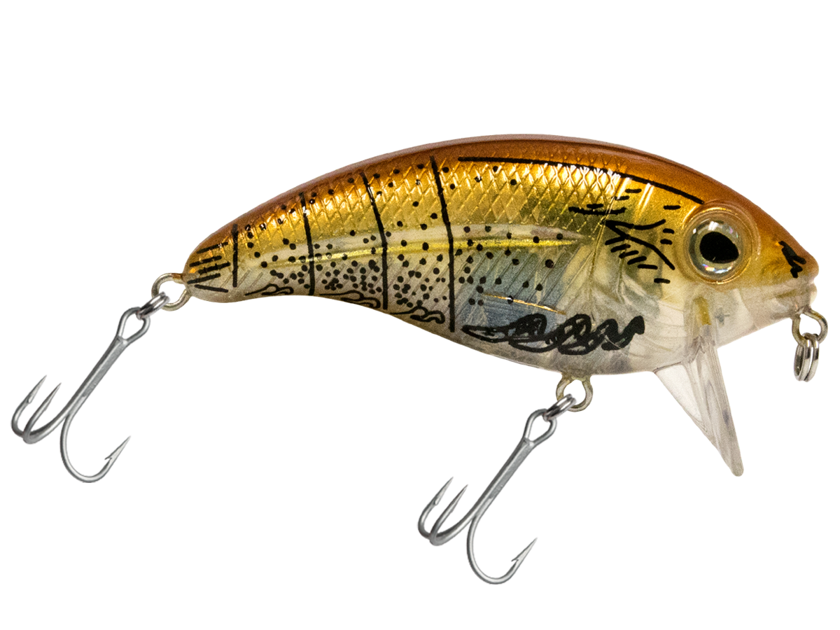 Bull Nose SW