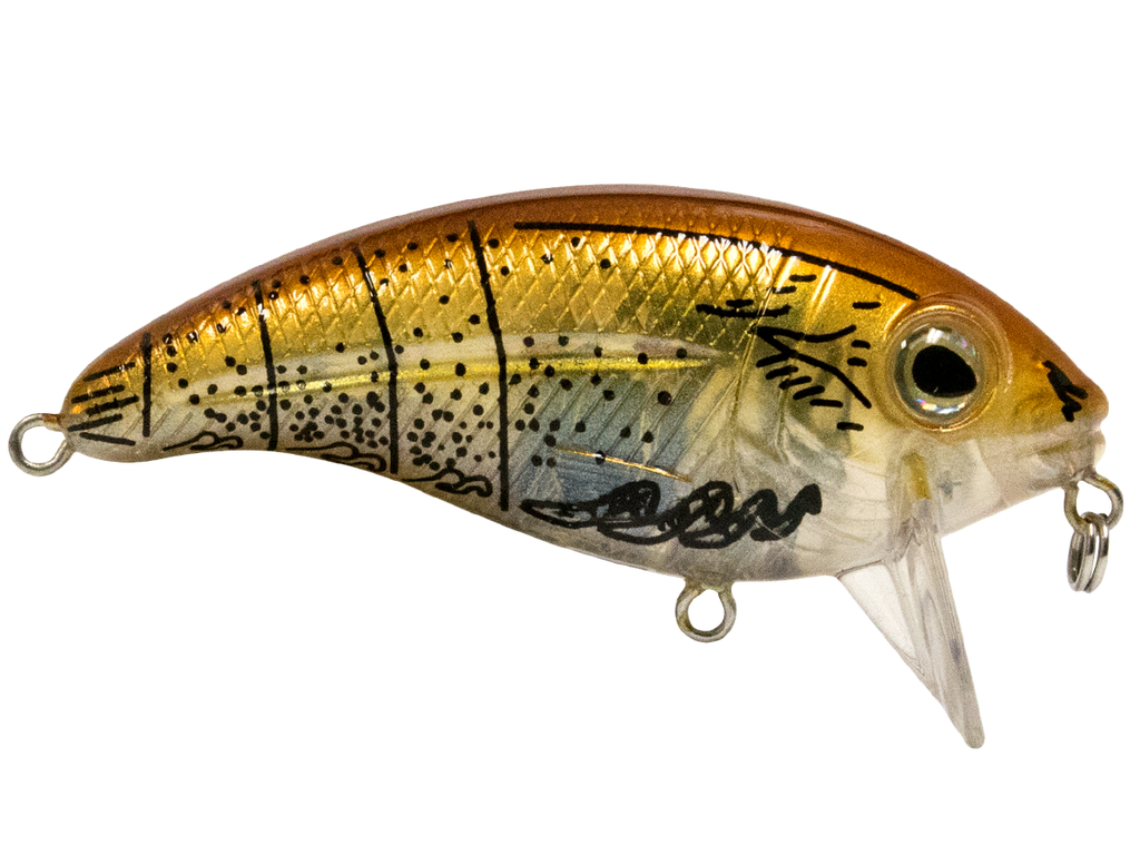 Bull Nose SW