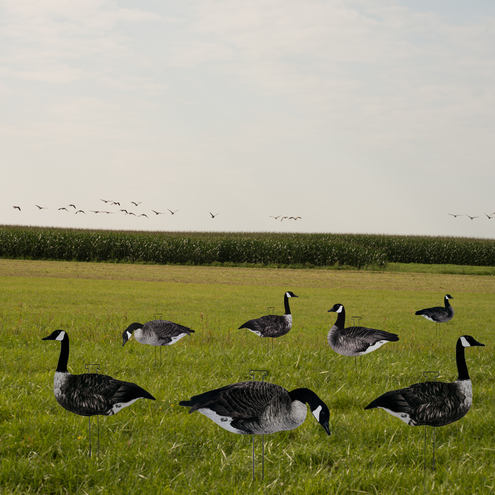 HuntEmUp Ultimate Flock-Stopper Silhouette Goose Decoys - Canada Goose Silhouette Decoys (12 pk)