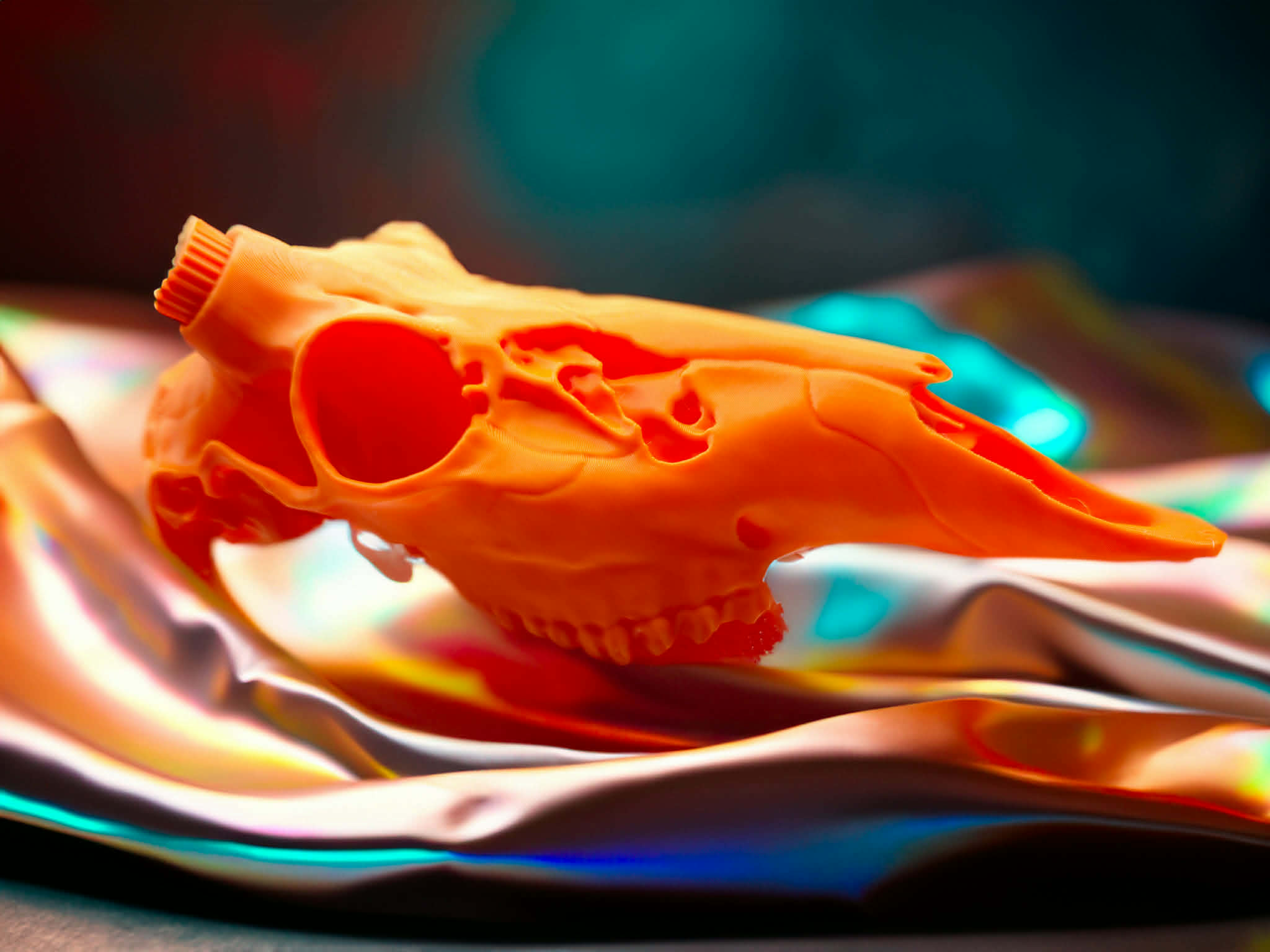 Arrowhead Deer Skull Wall Mount