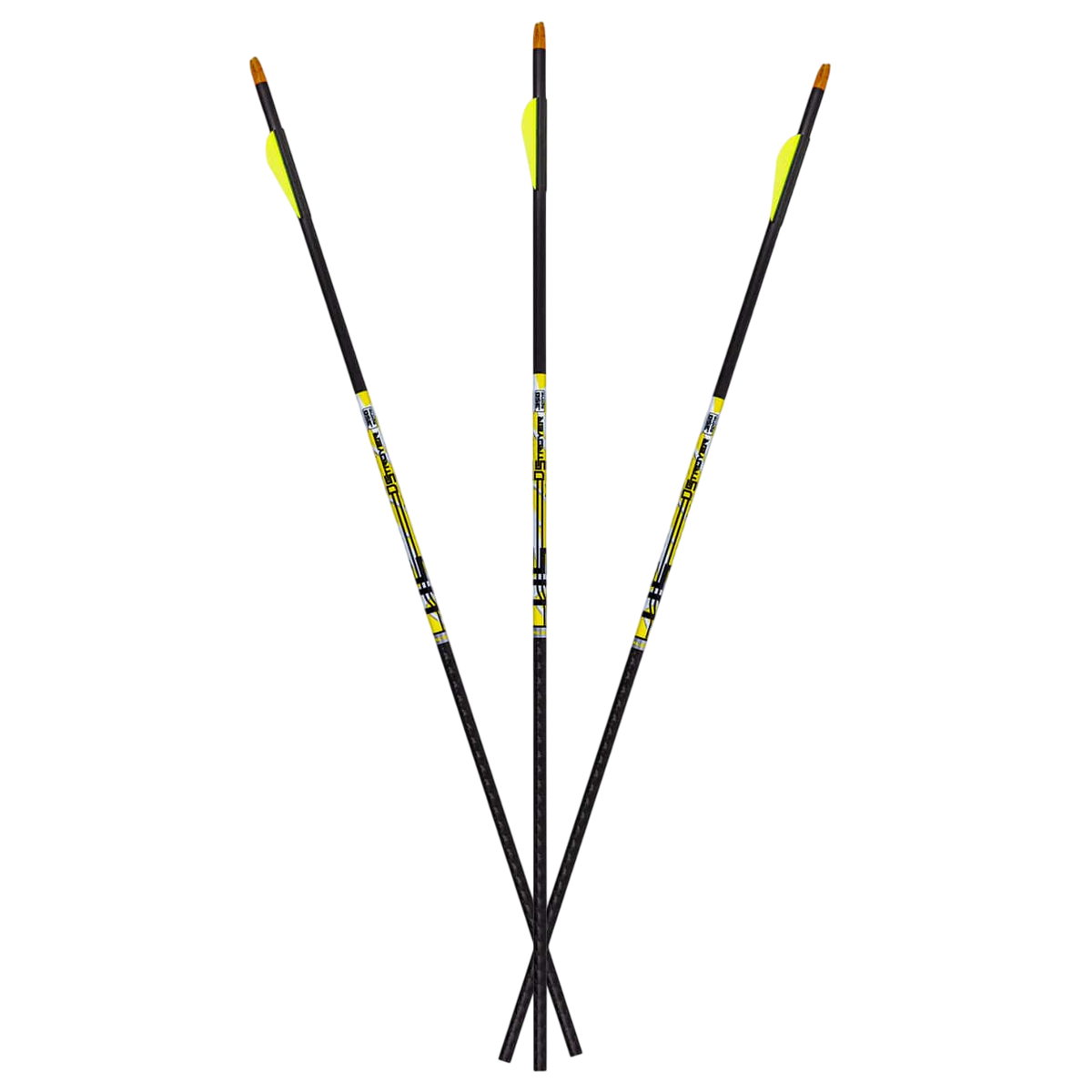 Carbon Express D-Stroyer Fletched Carbon Hunting Arrows (6-Pack)
