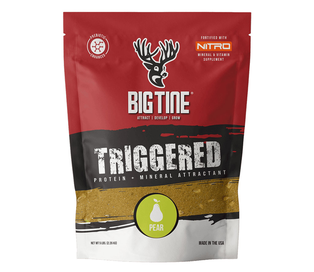 BIG TINE TRIGGERED PEAR